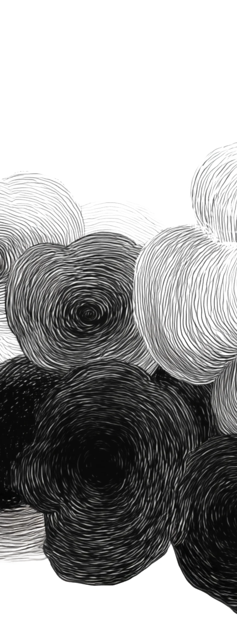 Shape Noire Sapiensapiens