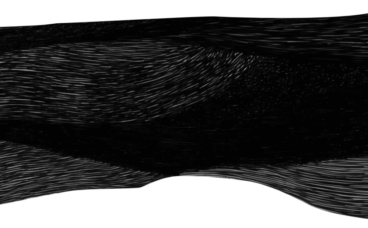 Shape Noir Sapiensapiens