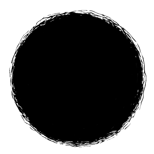 Conseil Stratégique Sapiensapiens 